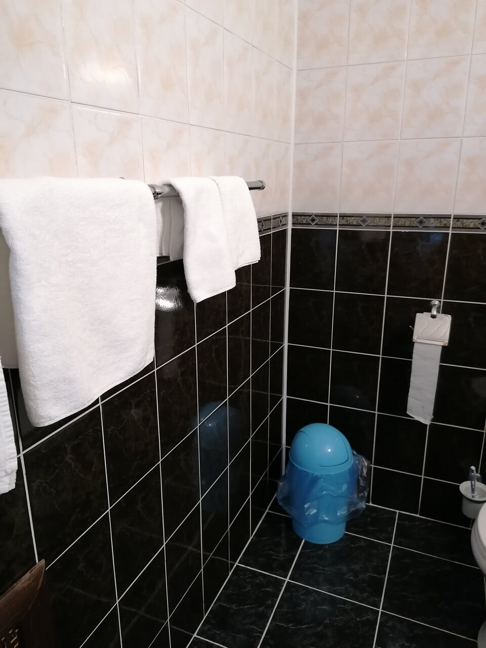 Гостиница Транзит Псков-88