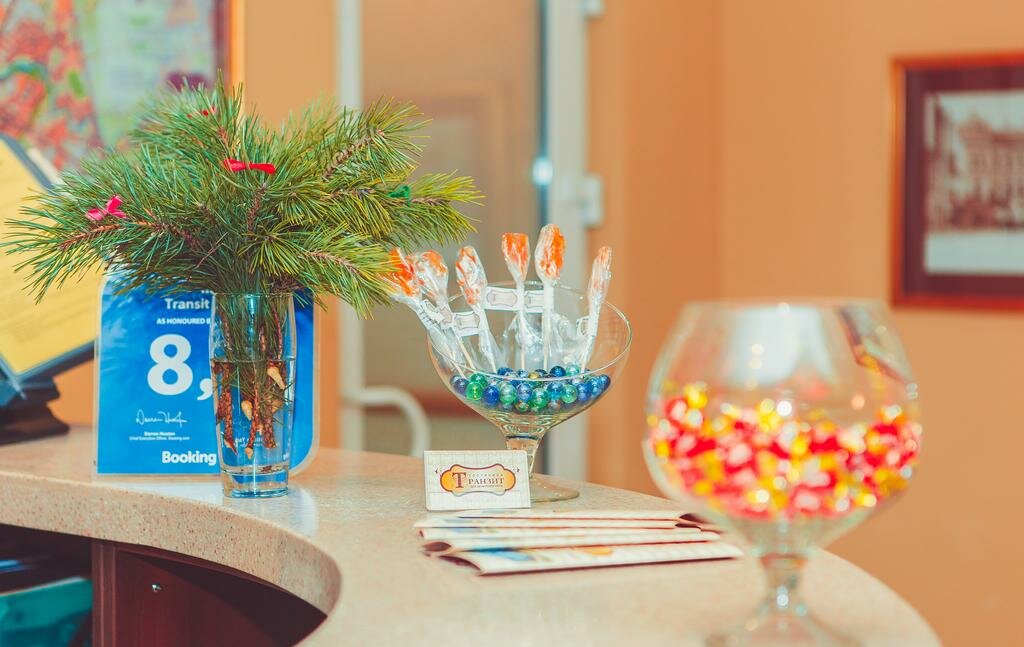 Гостиница Транзит Псков-96