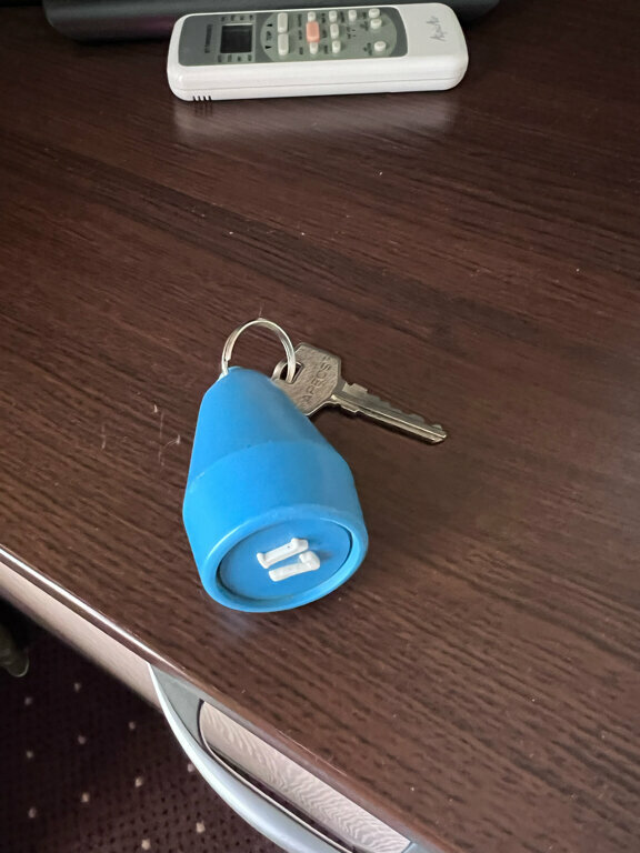 Гостиница Транзит Псков-81