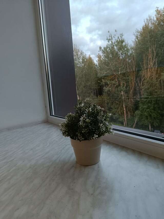 Гостиница Транзит Псков-67