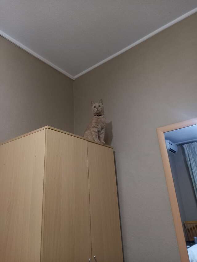 Гостиница Транзит Псков-71