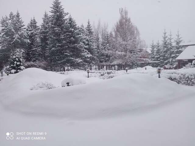 Гостиница Транзит Псков-14