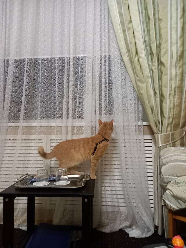 Гостиница Транзит Псков-30